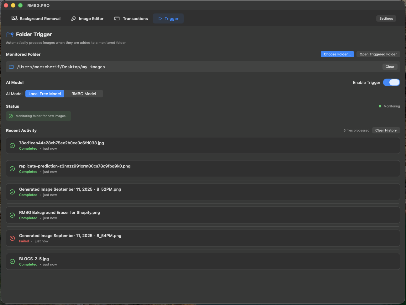Results Preview in RMBG PRO