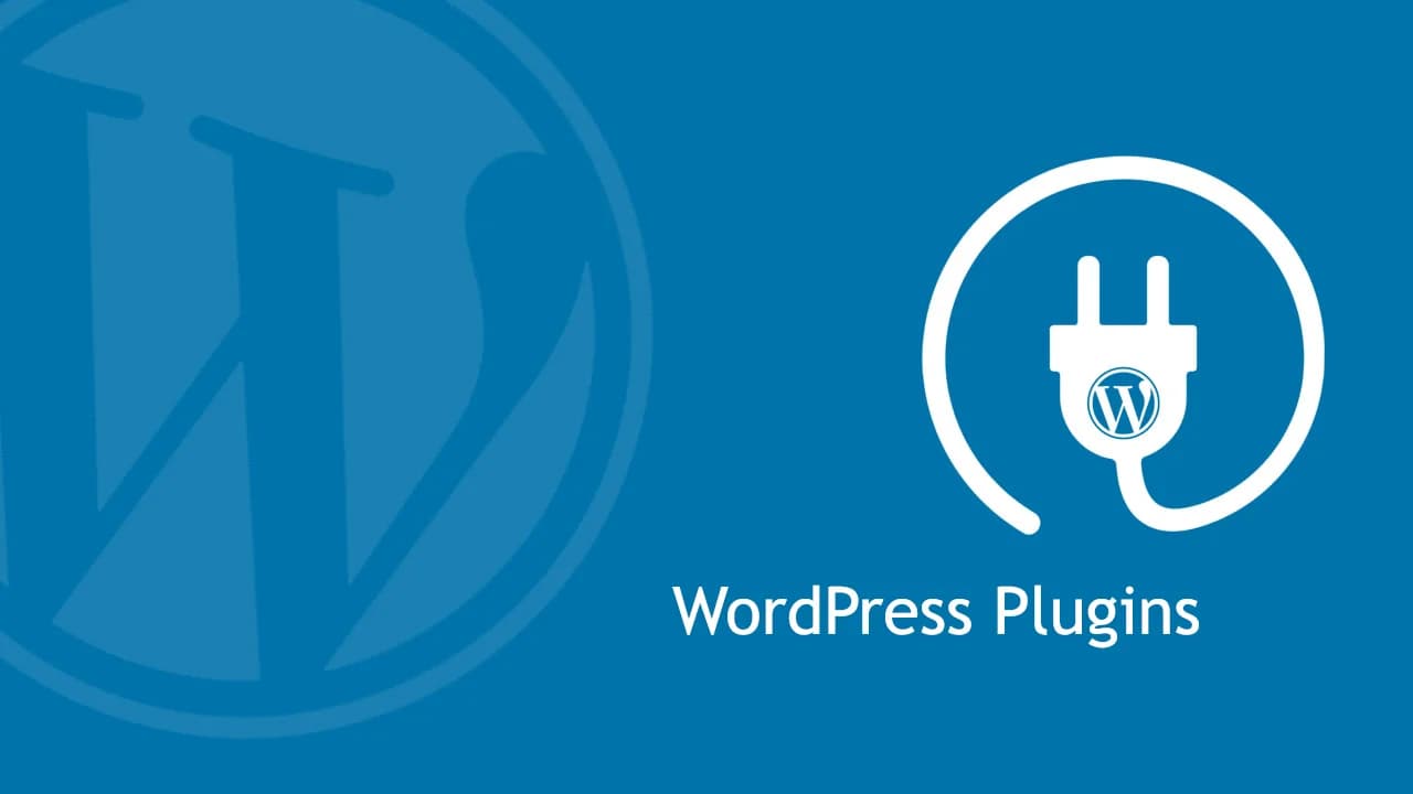 Custom WordPress Plugins