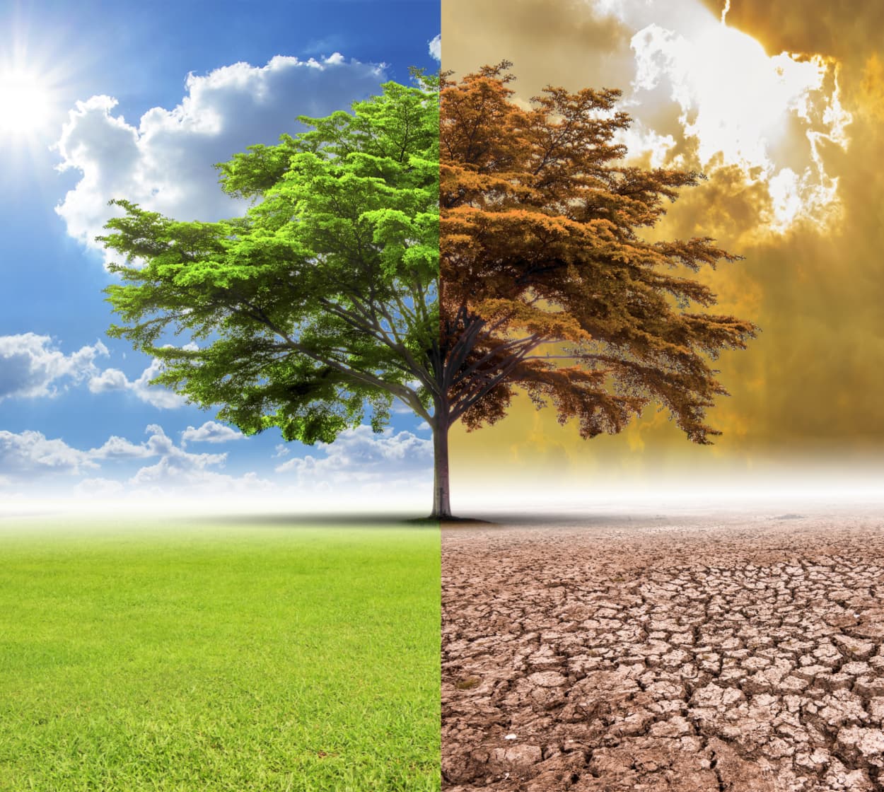 Photo Editor: AI Tools for Photographers & E‑commerce