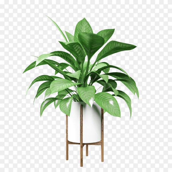 BGEraser: Background Eraser Guide & Best Alternatives