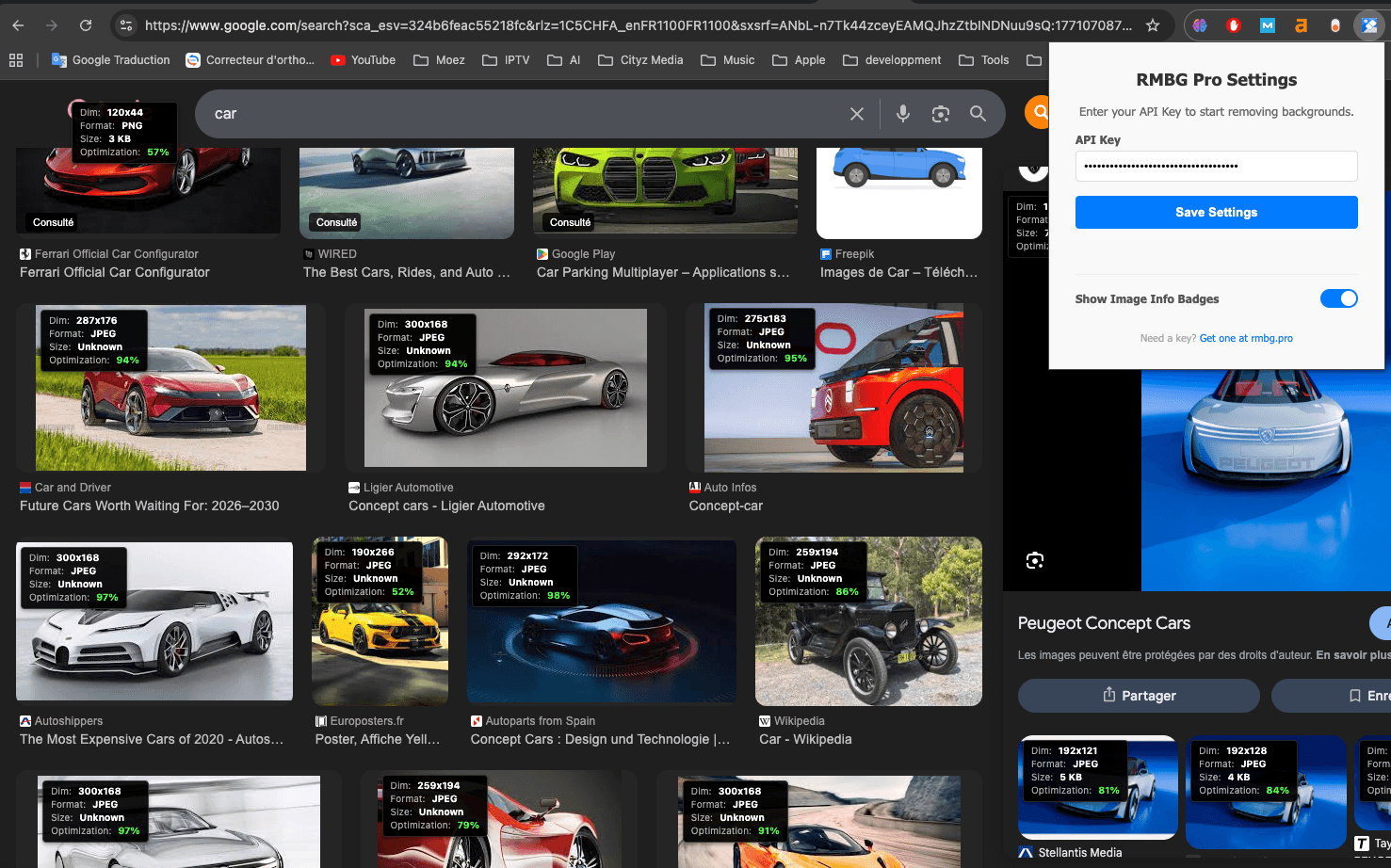 Demonstration of Image Info Badges on Google Images