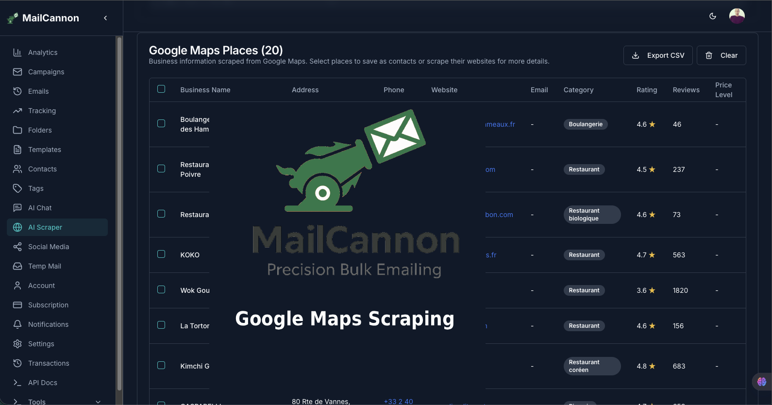 mailcannon-ai-scraping-googl-maps.png
