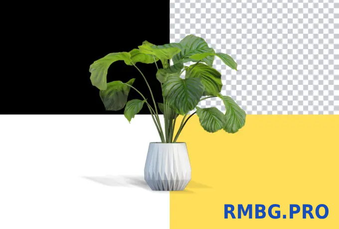 background-removal-multipl-bg-rmbg-pro-2.png